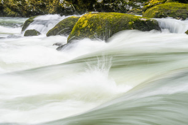 Long Exposure Image of Pacific Northwest River Rapids