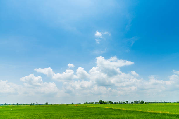 istock beautiful airatmosphere bright blue sky background abstract clear texture with white clouds with green cornfield 1659402797