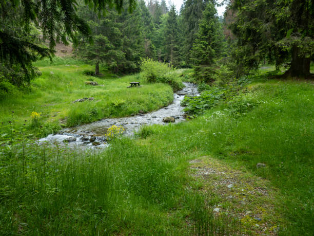 istock picnic area in  val Palot, Brescia 1659404526