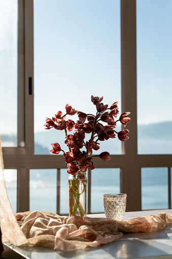 photo of a vase with cymbidium orchids, a window on the background, vertical image