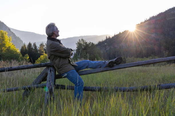 istock Mature man balances on fence in meadow 1659408983