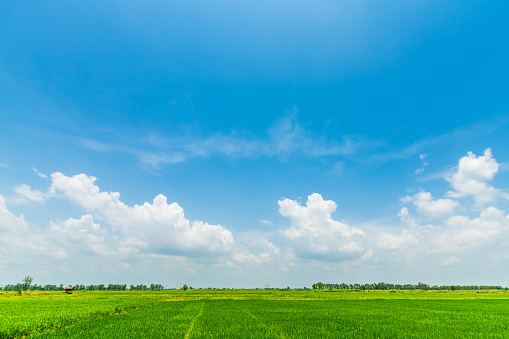 Peaceful blue sky and green grass with clouds.