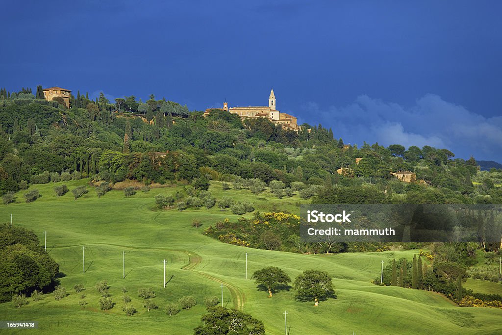 Paesaggio toscano - Foto stock royalty-free di Albero