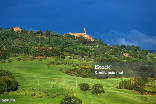 Paesaggio Toscano - Fotografie stock e altre immagini di Albero - Albero, Ambientazione esterna, Ambientazione tranquilla