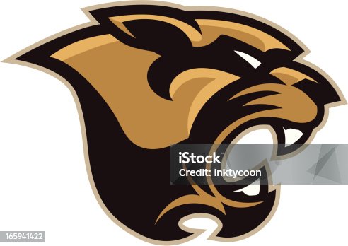 istock Cougar Mascot Head 165941422