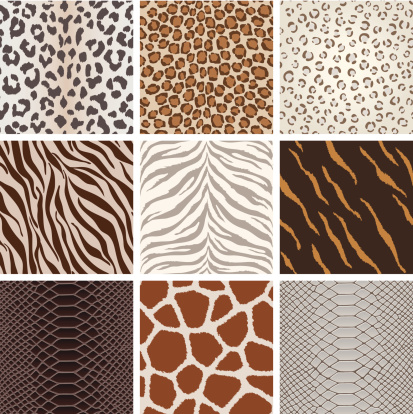 A collection of animal background pattern, based on Leopard, Jaguar, Tiger, Giraffe, zebra,  crocodile skin, etc.  All design are seamless.