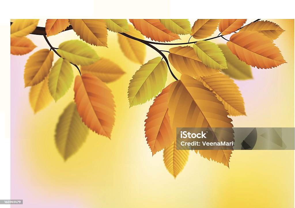 Foglie d'autunno - arte vettoriale royalty-free di Acero
