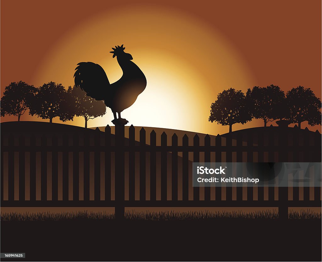 Rooster Piać o świcie - Grafika wektorowa royalty-free (Kogut)