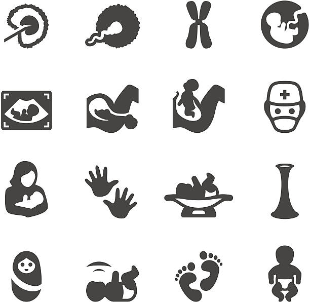 ilustraciones, imágenes clip art, dibujos animados e iconos de stock de mobico iconos-recién nacido y embarazo - conjugation