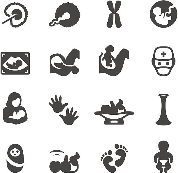 Mobico icons - Newborn and Pregnancy Mobico collection - Pregnancy and Newborn icons. Ovulation stock illustrations