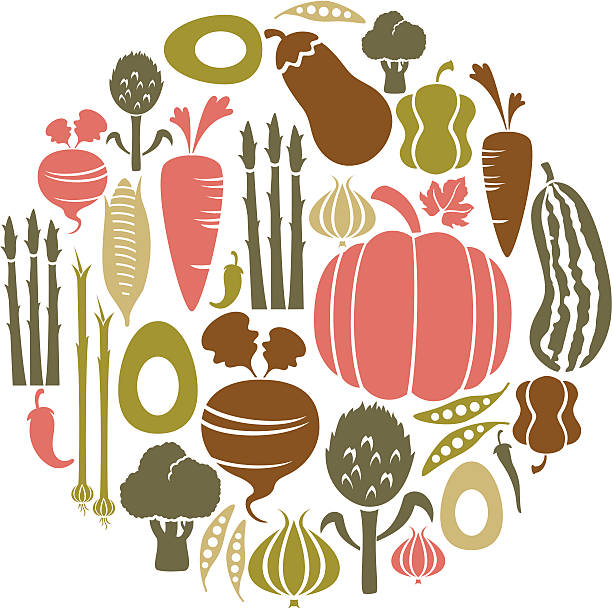 ilustraciones, imágenes clip art, dibujos animados e iconos de stock de icono conjunto de verduras - rutabaga