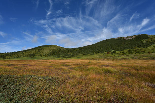 istock Climbing  Mount Issaikyo, Fukushima, Japan 1659421038