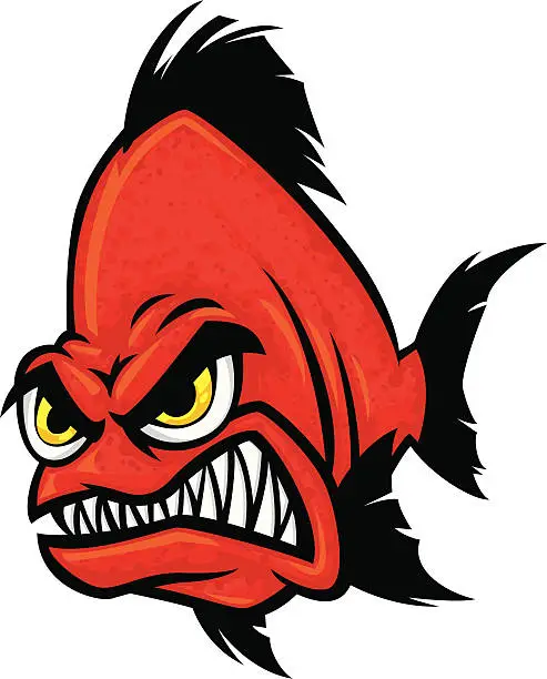 Vector illustration of red piranha