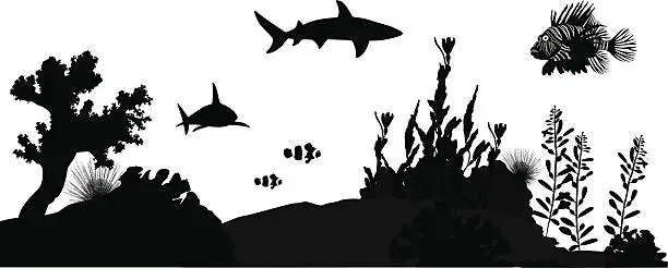 Vector illustration of Shark'n Fishes Vector Silhouette