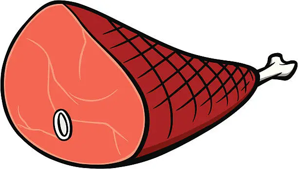 Vector illustration of Ham