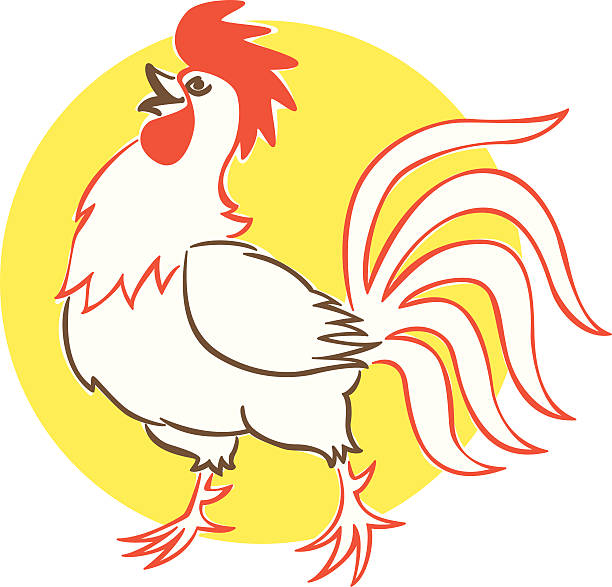 vintage style rooster illustration