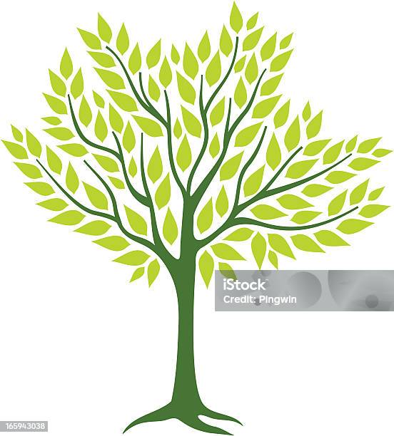 Frühling Baum Stock Vektor Art und mehr Bilder von Ast - Pflanzenbestandteil - Ast - Pflanzenbestandteil, Baum, Baumkrone