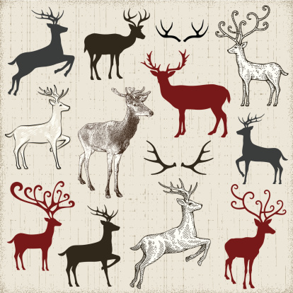 Set of deer silhouettes and drawings.File is layered with global colors.High res jpeg included.More works like this linked below.