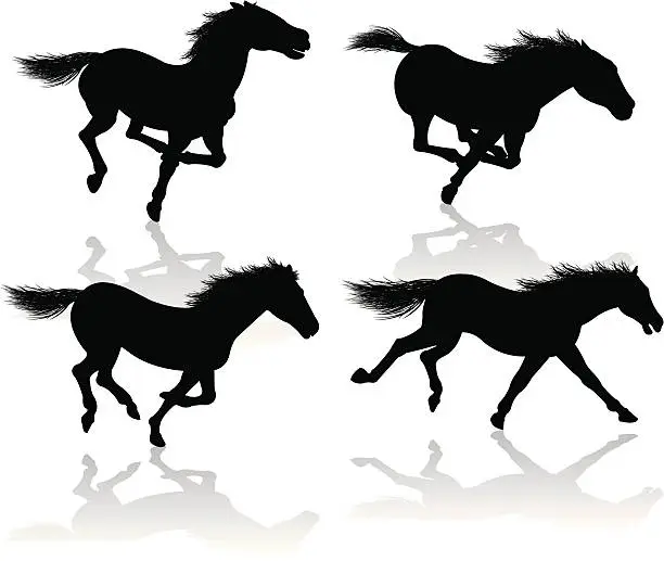 Vector illustration of Wild Horses - Galloping or Running