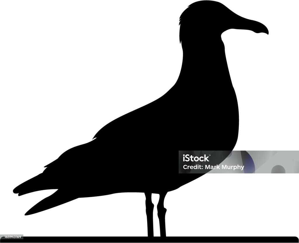 Gaviota en silueta - arte vectorial de Ala de animal libre de derechos