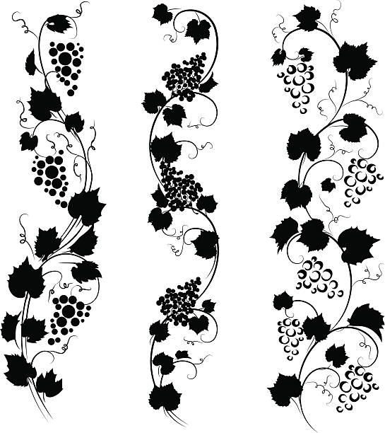 winogrono ozdoby - grape nature design berry fruit stock illustrations