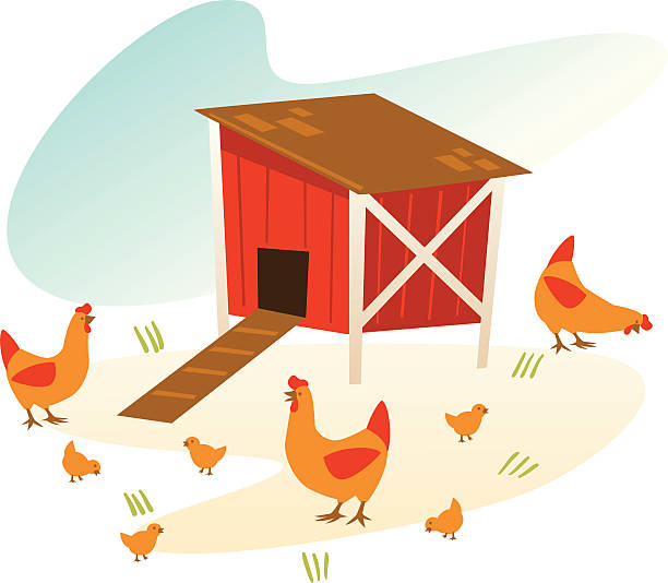 vintage chicken coop vintage style illustration of a chicken coop surrounded by chickens and chicks chicken coop stock illustrations