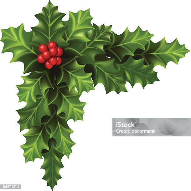 Boule De Noël Dangle Vecteurs libres de droits et plus d'images vectorielles de Noël - Noël, Houx, Fond blanc