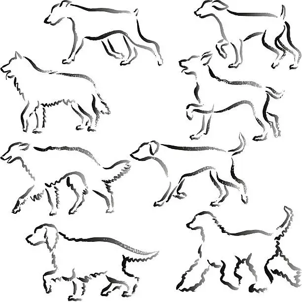 Vector illustration of Walking dogs Hand Drawn