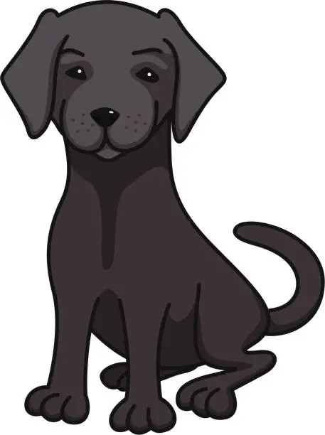 Vector illustration of Black Labrador retriever cartoon illusstration