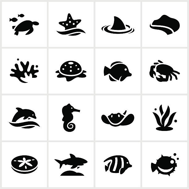 ilustraciones, imágenes clip art, dibujos animados e iconos de stock de mar negro y planta de iconos de la vida - bannerfishes