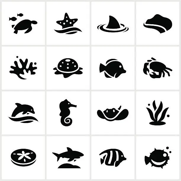 Vector illustration of Black Sea and Plant Life Icons