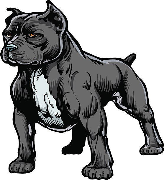 pitbull - 比特犬 幅插畫檔、美工圖案、卡通及圖標