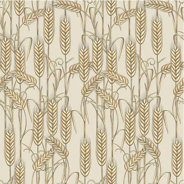 Vector illustration of Wheat seamless pattern
