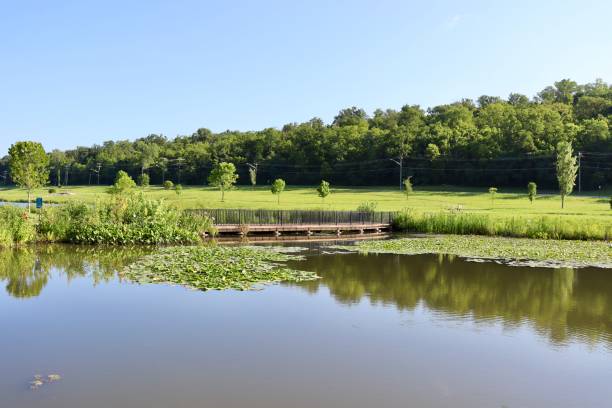 istock Pond in the Country 1659444974