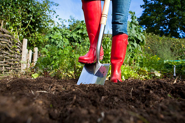 gardener em vermelho botas com espada no jardim - garden soil imagens e fotografias de stock