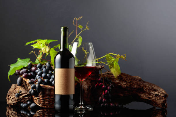 copo e garrafa de vinho tinto com uvas azuis e ramos de videira. - bottle bordeaux green wine - fotografias e filmes do acervo
