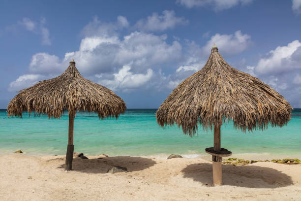 istock Bamboo beach umbrellas on sandy beach. Turquoise water; cloudy blue sky in background. 1659455151