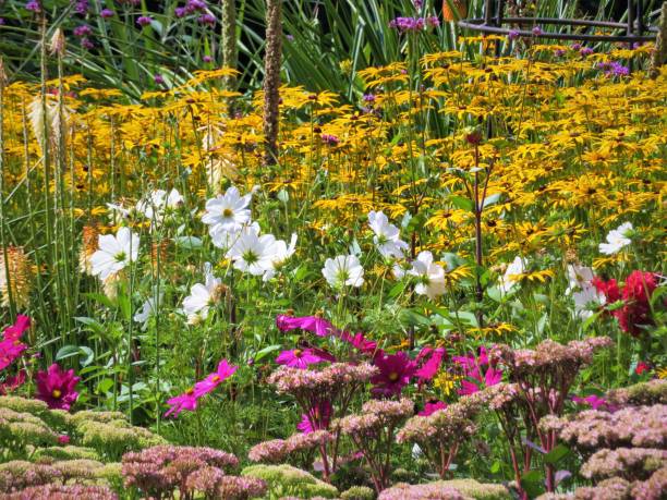 istock A bright and beautiful flower bed full of colour 1659457348