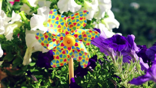 Pinwheel with multi-colored hearts among the balcony flowers of petunia against the backdrop of the forest.