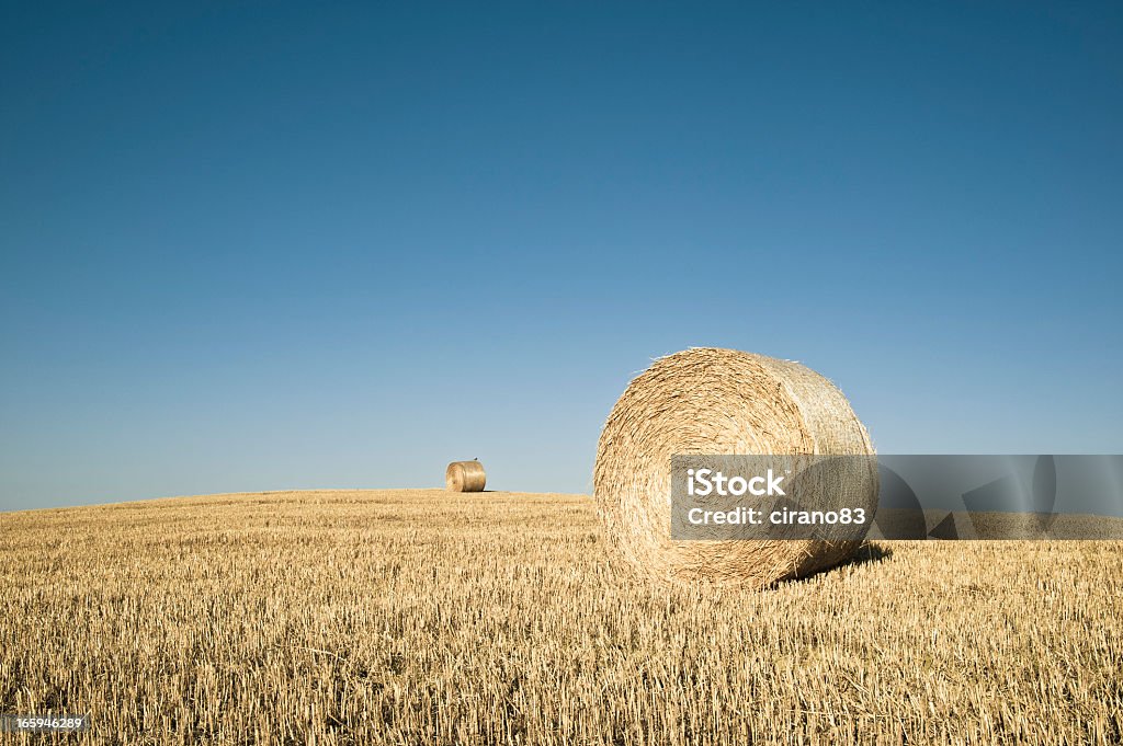 Bale de foin dans le champ, en Toscane - Photo de Agriculture libre de droits