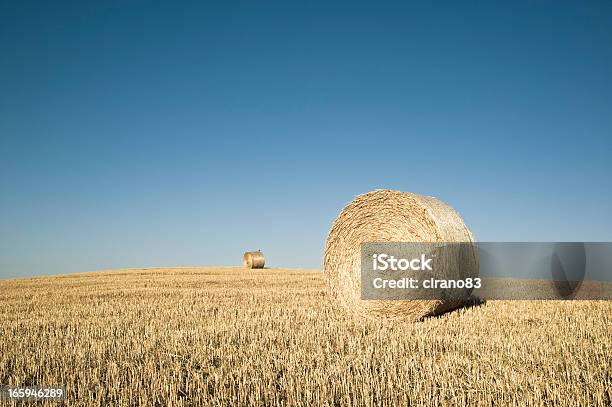 Foto de Fardo De Feno No Campo Toscana e mais fotos de stock de Agricultura - Agricultura, Ajardinado, Amarelo