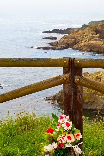 View from above of cliff, rocky coastline seen from footpath, wooden railing, flower bunch in the foreground in Tapia de Casariego, Asturias, Spain.