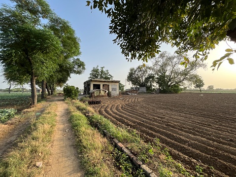 Agricultural fields of India