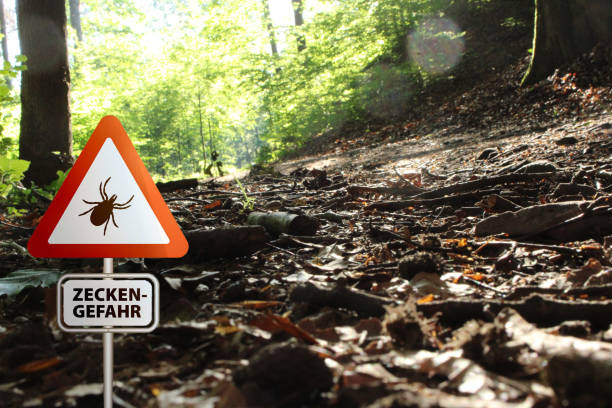 istock Tick insect warning sign . Lyme disease and tick-borne meningitis (meningoencephalitis) transmitter 1659466117