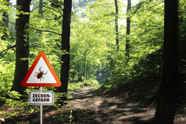 istock Tick insect warning sign . Lyme disease and tick-borne meningitis (meningoencephalitis) transmitter 1659466634