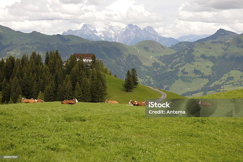 Hahnenkamm na Áustria - Foto de stock de Alpes europeus royalty-free