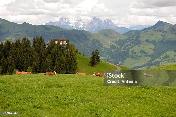 Foto de Hahnenkamm Na Áustria e mais fotos de stock de Alpes europeus - Alpes europeus, Cena Não-urbana, Cena Rural