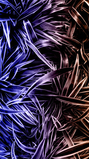 istock abstract grass and ornamental plants background 1659483724