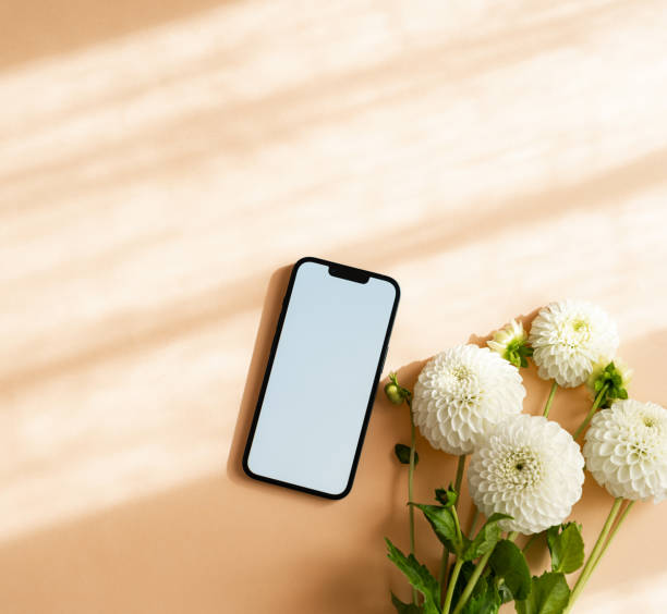 ベージュの背景に白いダリアの花と空白の画面を持つ携帯電話