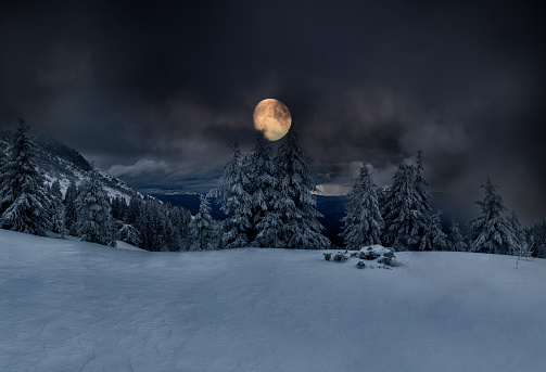 Winter night photo. snow-covered fir trees in the mountains and a huge moon in the clouds.